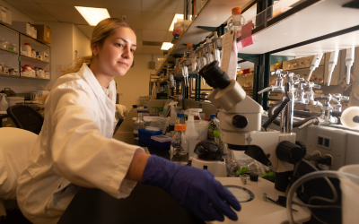 Nueroscience researcher in lab working